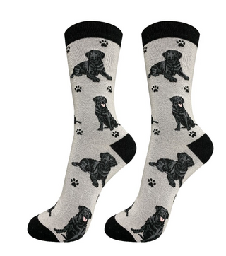 Black Labrador Socks