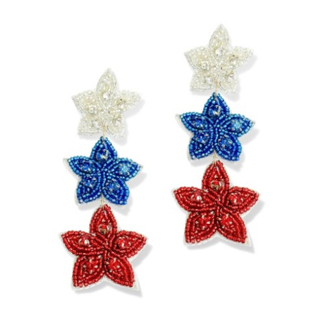 Bold Stripe Star Earring