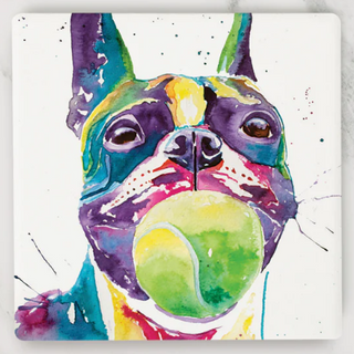 Boston Terrier Coaster