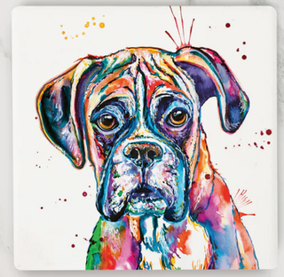 Boxer Coaster
