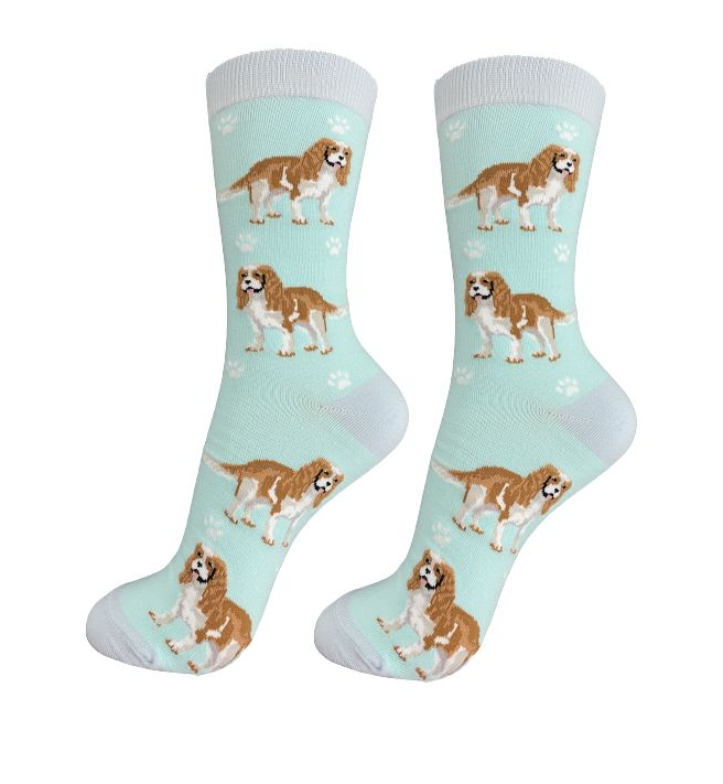 Cavalier King Charles Socks