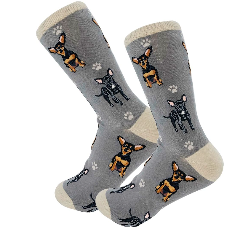 Chihuahua Socks Black