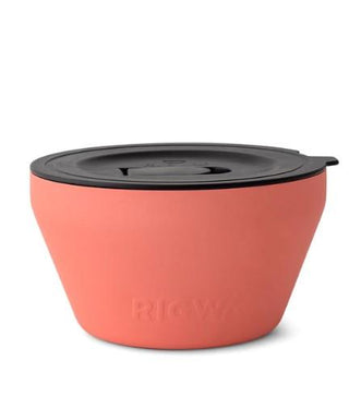 Coral 40oz Insulated Bowl