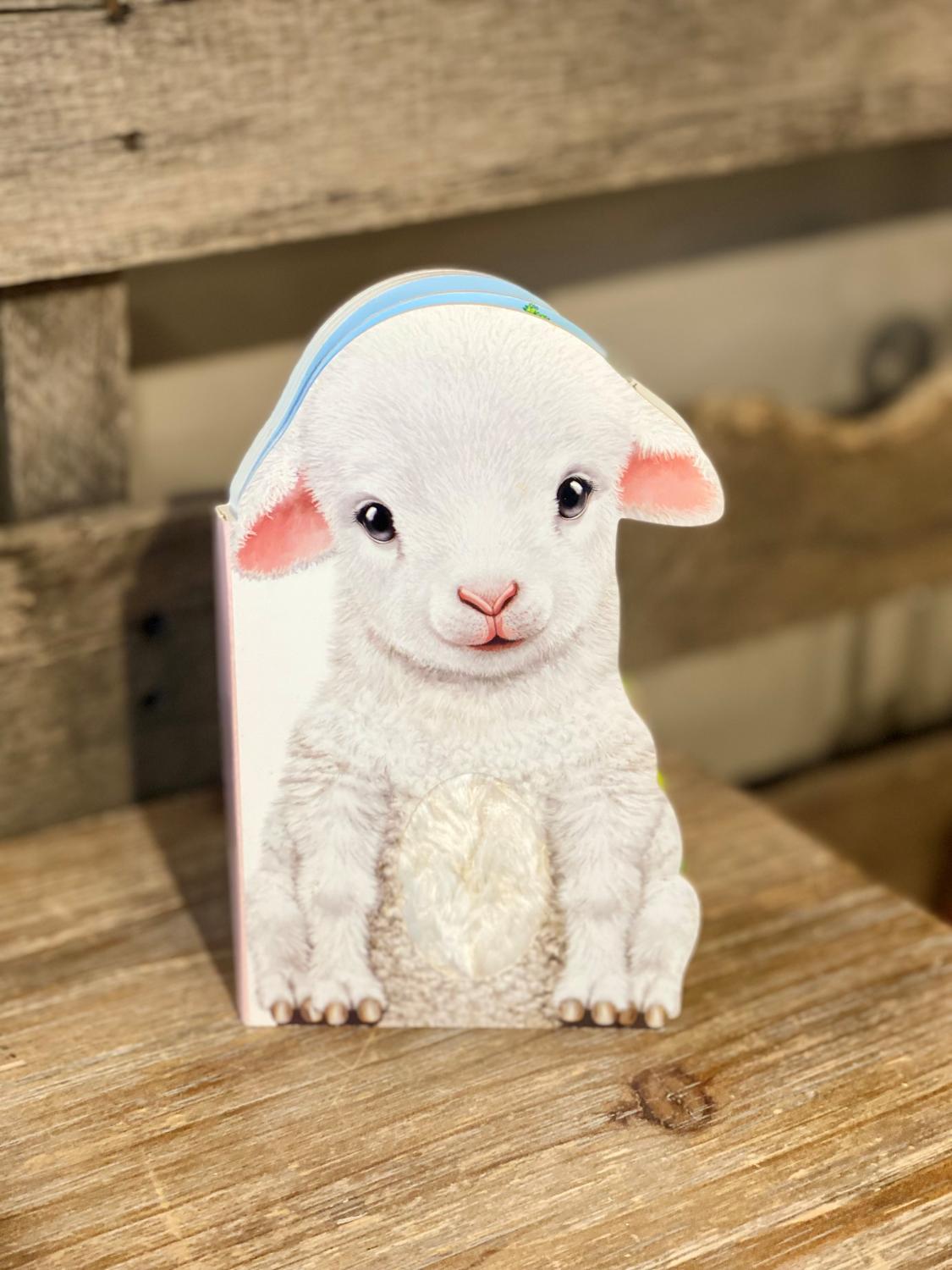 Furry Lamb Book – Darling State of Mind