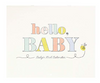 Hello Baby First Year Calendar
