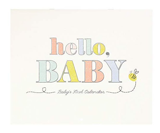 Hello Baby First Year Calendar Darling State of Mind