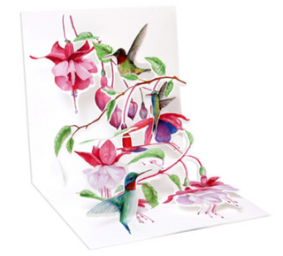 Hummingbirds Card