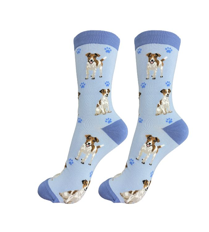 Jack Russell Terrier Socks