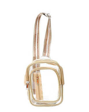 Jolene Clear Sling Bag Gold