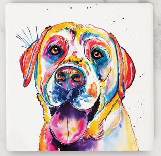 Lab Coaster