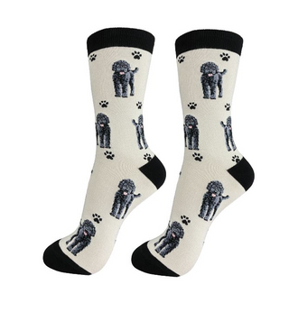 Labradoodle Socks Black