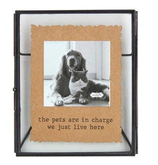 Pet In Charge Glass Pet Frame