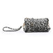 Gray Leopard