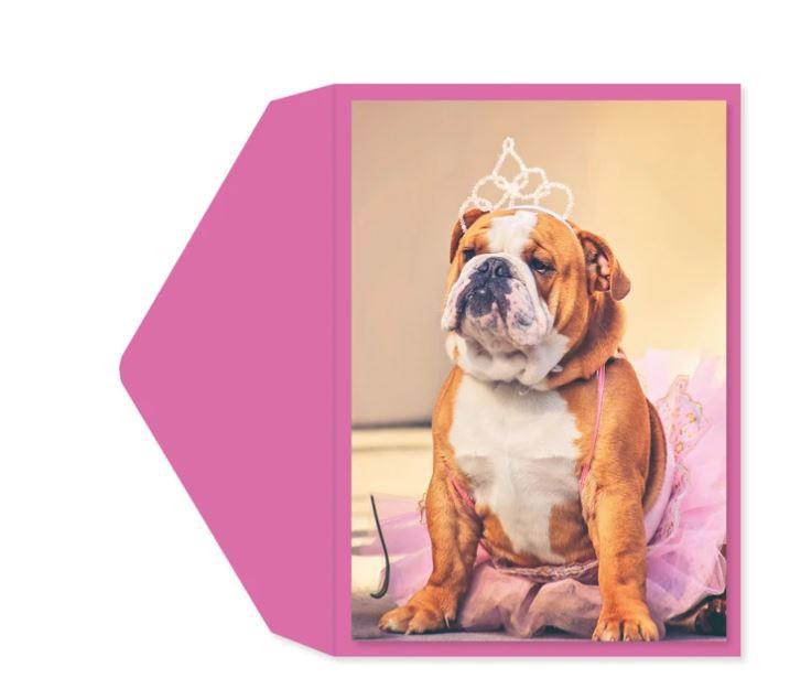 Queen Bulldog Birthday Card