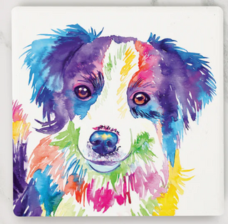 Shepherd Coaster