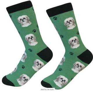 Shih Tzu Tan & White Socks