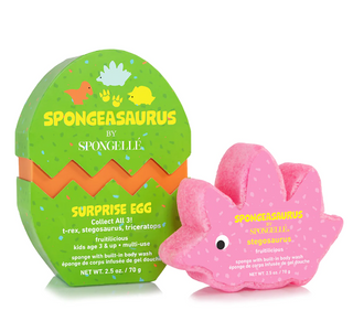 Stegosaurus Kids Sponge