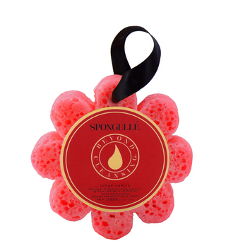 Sugar Dahlia Flower Buffer