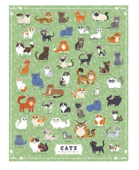 Illustrated Cats Puzzle