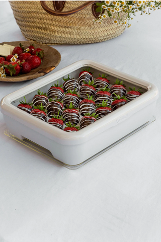 Egg Trayz Insert